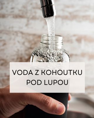 Kohoutková voda často obsahuje chlor, zbytky pesticidů, těžké kovy, mikroplasty či stopy léků. Tyto látky mohou dlouhodobě...
