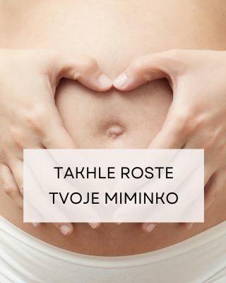 #jakroste #miminko #tehotenstvi