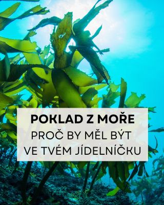 Tak co, vyzkoušíš je? Mořské řasy jsou doslova poklad z moře. Plné vitaminů, jódu, minerálů, které dodají tělu sílu,...